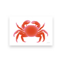 Postcard　Crab