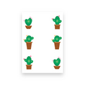 Postcard　Cactus