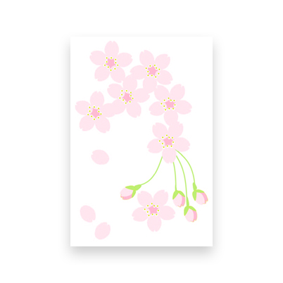 Postcard　Sakura
