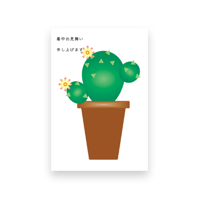 Postcard　Summer greeting Cactus