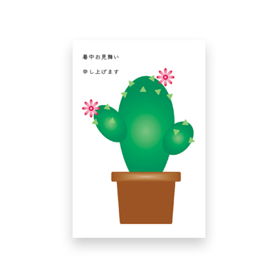 Postcard　Summer greeting Cactus